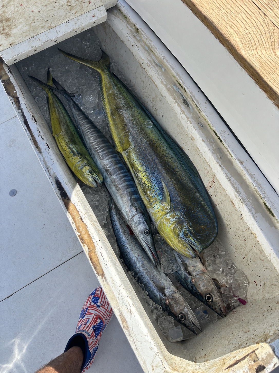 Delta Bravo charter photo 14